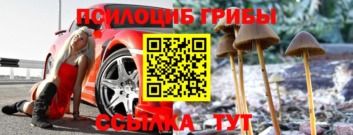 Галлюциногенные грибы мухоморы Сергиев Посад