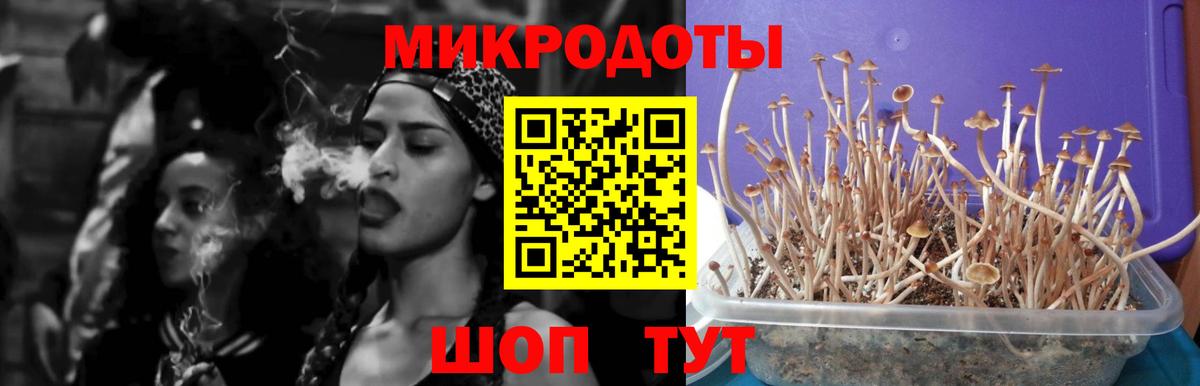 Сергиев Посад  Галлюциногенные грибы Magic Shrooms  Вход с VPN  Галлюциногенные грибы мухоморы 